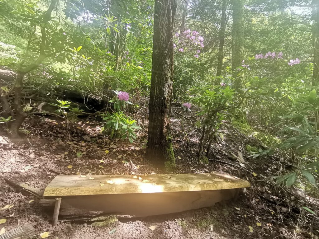 Sitzbank im Arboretum